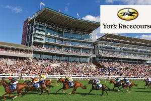 York crowned Racegoers Club Racecourse of the Year again
