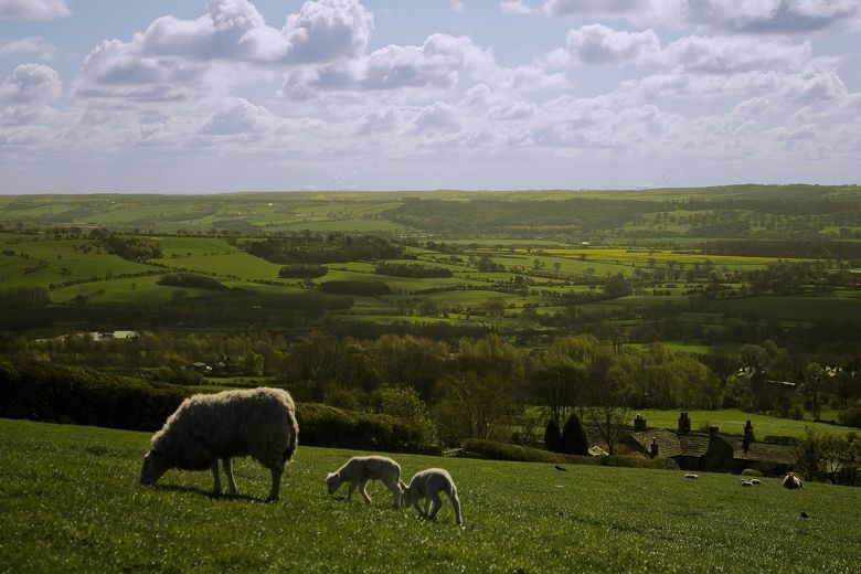 10 Tweets that you can relate to if you are from North Yorkshire