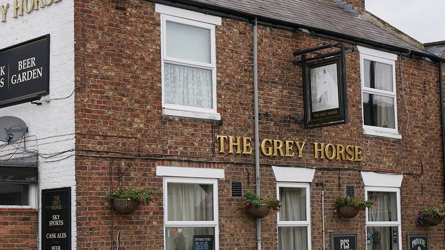 Grey Horse, Brayton