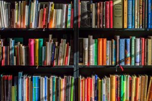 Libraries reopen in York