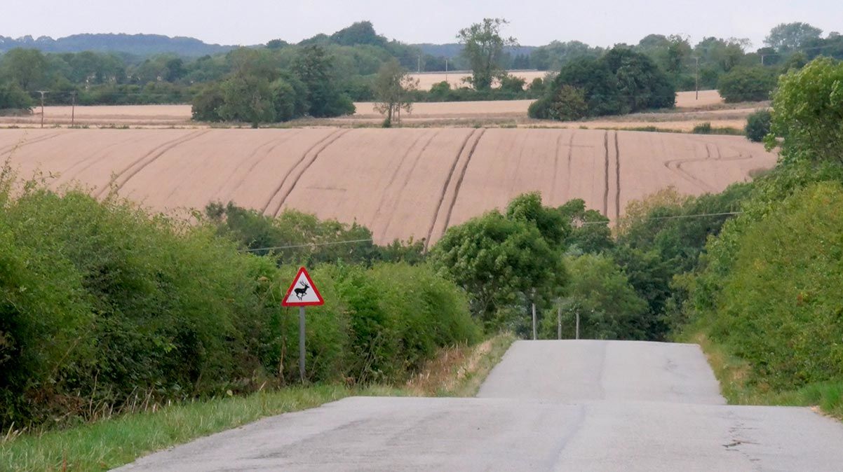 View of country road in the Yorkshire Wolds near Market Weighton