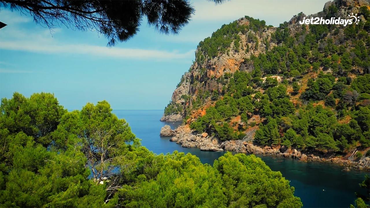 Wooded cove in Majorca