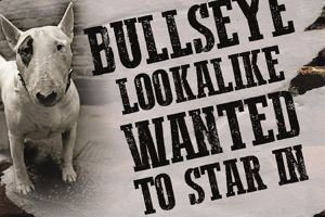 Top dog wanted for York Oliver musical