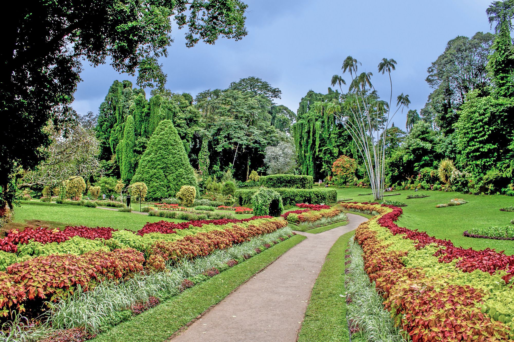 Peradeniya Royal Botanical Garden Sri Lanka