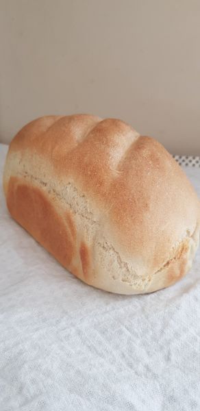 Bread Week 