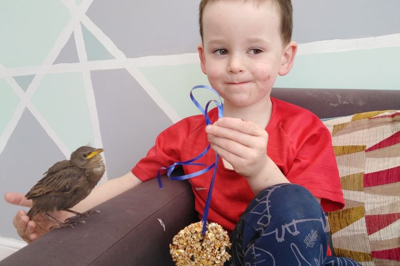 VIDEO - Praise from the RSPB for Whitley boy who save a baby starling