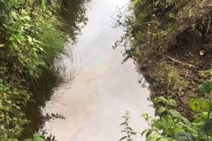 Diesel spill in river at Fulford