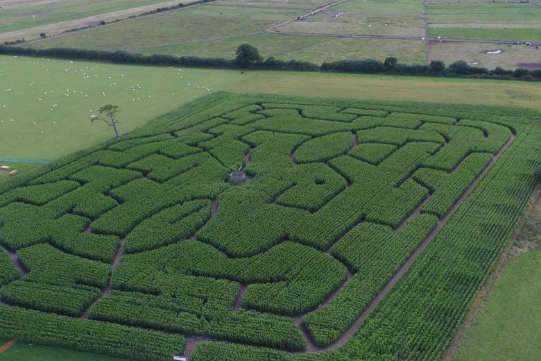 Two Maze attractions reopen in North Yorkshire
