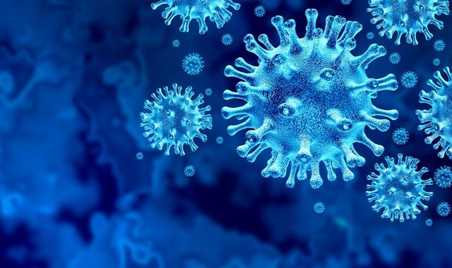 Coronavirus: Six types of COVID-19 identified by scientists in 'major' breakthrough for treatment 