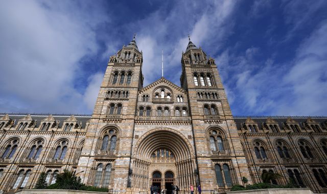 Coronavirus: London's Natural History Museum, Science Museum and Victoria & Albert Museum to reopen
