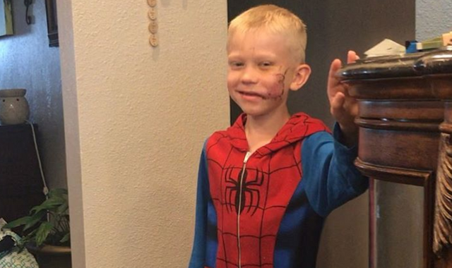 'Pal, you're a hero': Boy, 6, who saved sister from dog attack gets message from Captain America