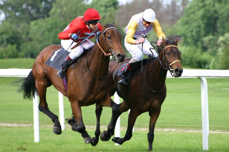 York Racecourse - May Spring Meeting