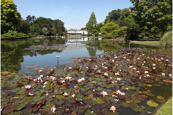 Burnby Hall Gardens at Pocklington opens again from Monday