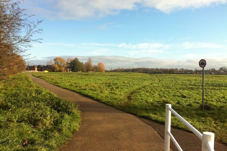 UPDATE - Woman bailed after a man was racially abused and a dog kicked in York