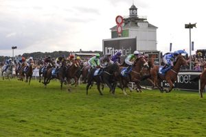 Easterby is aiming for a 3rd victory in charity day feature race