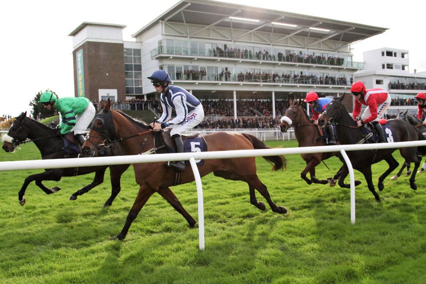 Horses Racing at Wetherby Races