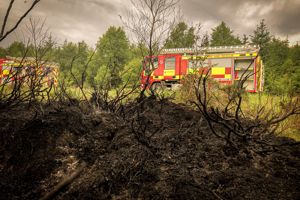 PICTURES - Forest fire near Thirsk