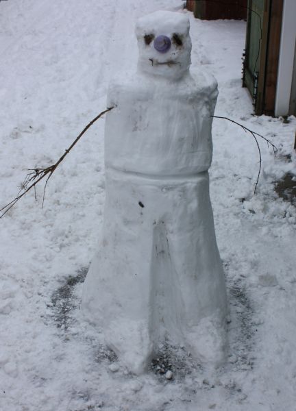 Snow Robot